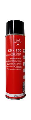 CS KS250 Hohlraumk.ML inkl.SchlauchML500